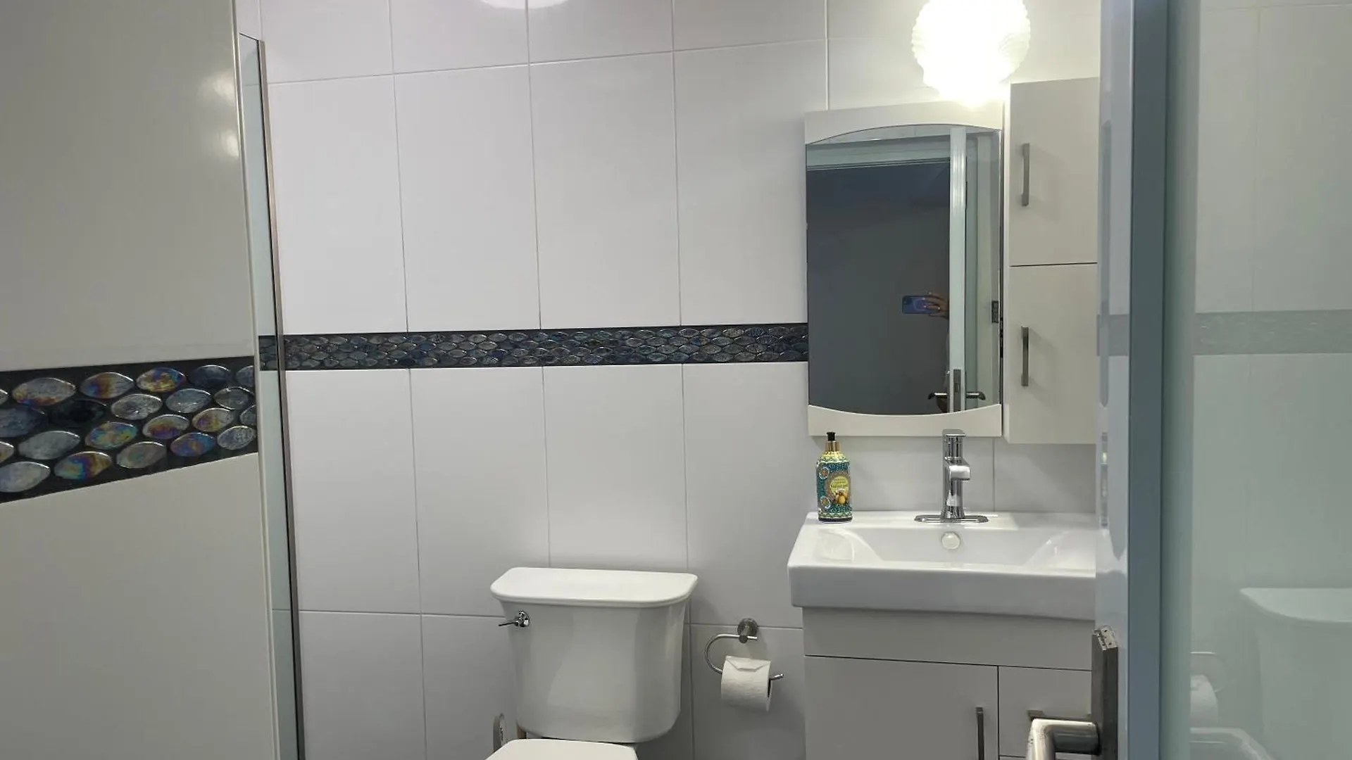 Casa De Verde Suites At Ocean Park San Juan Apartment